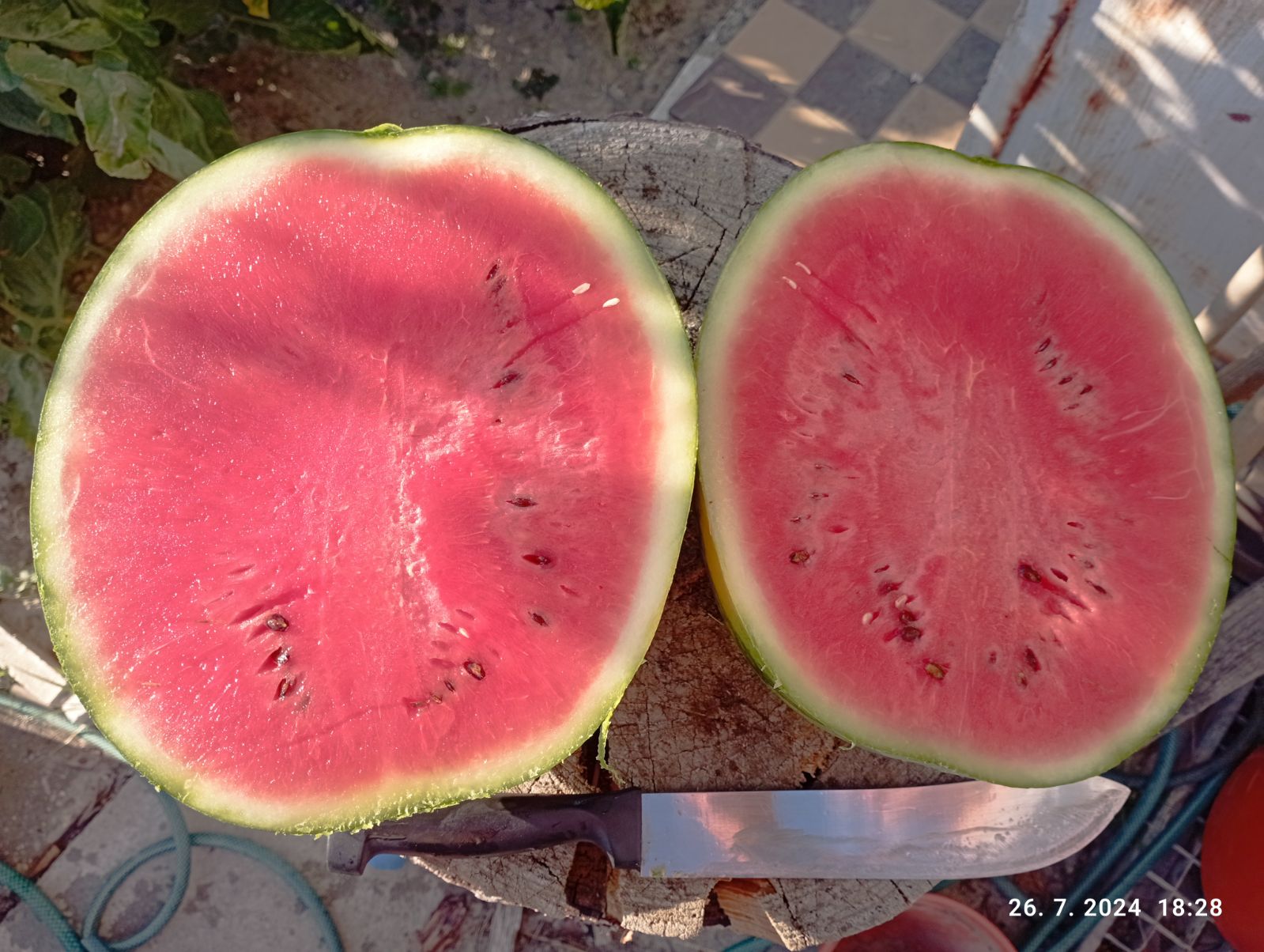 dinje nakon rezanja