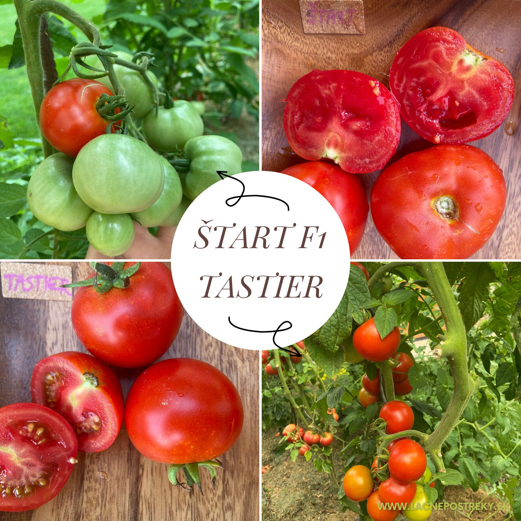tomato start i tipkovnica